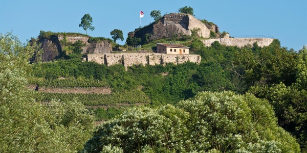 van de graaf von Saffenburg