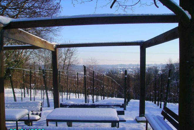 In de winter is rust in de wijngaard.