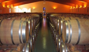 houten vaten in wijnkelder